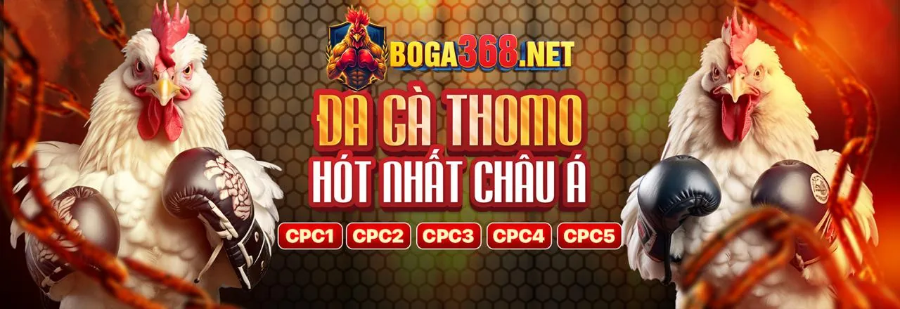 Nền tảng giải trí trực tuyến i9bet151